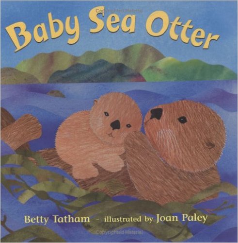 Baby Sea Otter